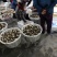 2020羊肚菌最新干货