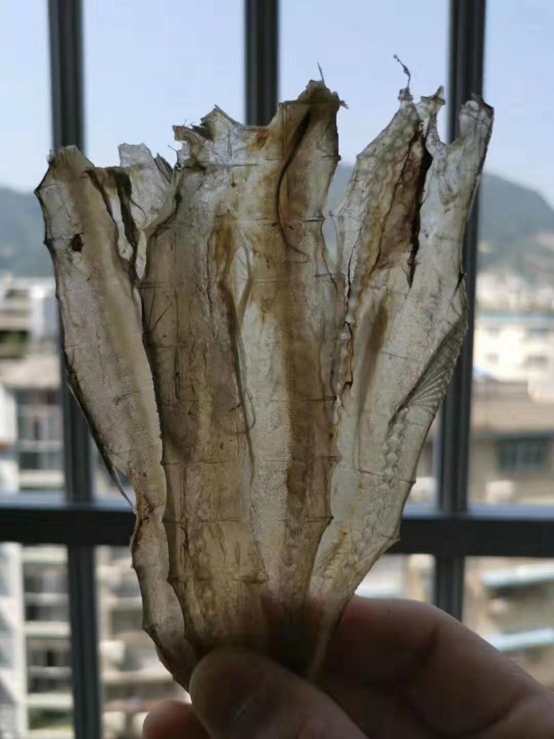 福建霞浦渔家自晒龙头鱼干
