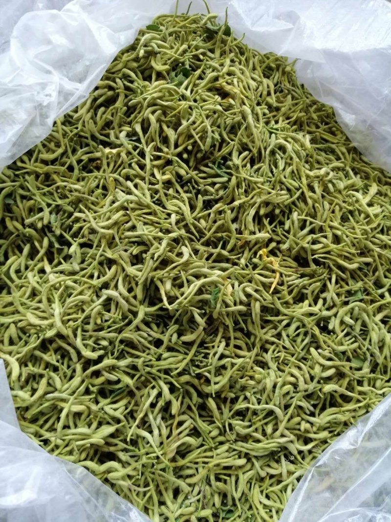 新品种花蕾一号树形金银花包纯度，技术，包回收