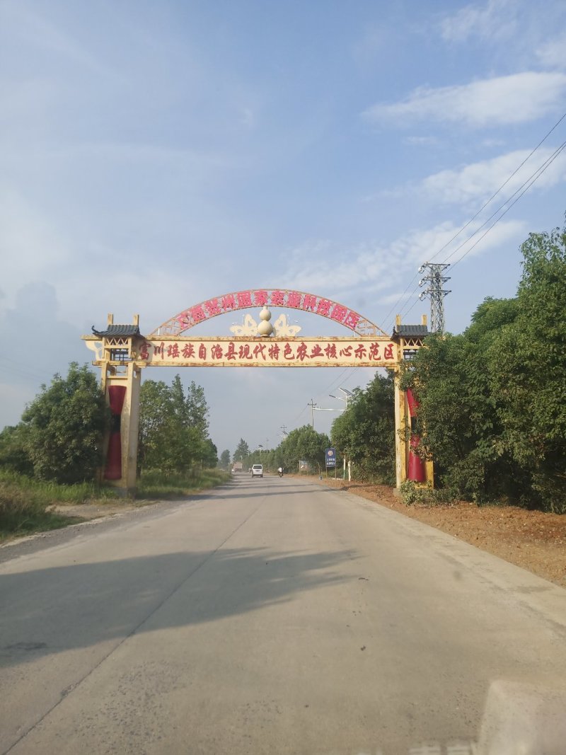 广西富川纽荷尔脐橙—富川脐橙又脆又爽口，口感好，欢迎电话咨询