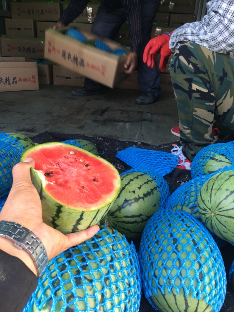 山东潍坊固堤全美2k西瓜，电商货市场货各种西瓜品种齐全