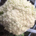 温州花菜