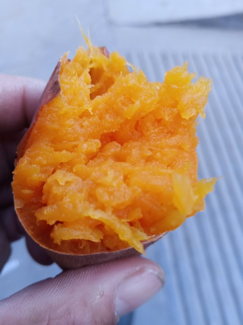 密暑