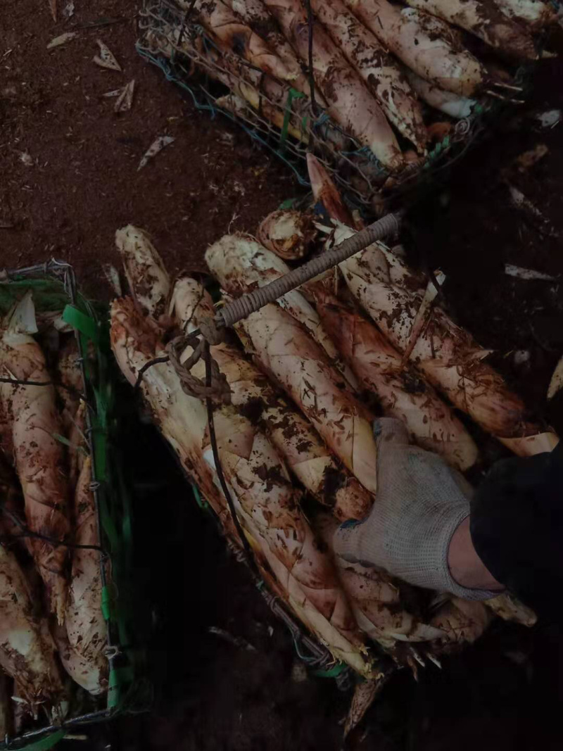 大量供应
