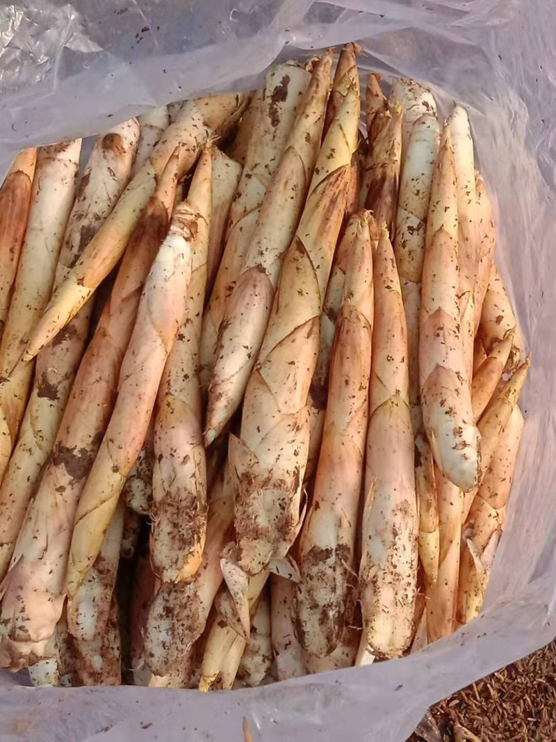大量供应