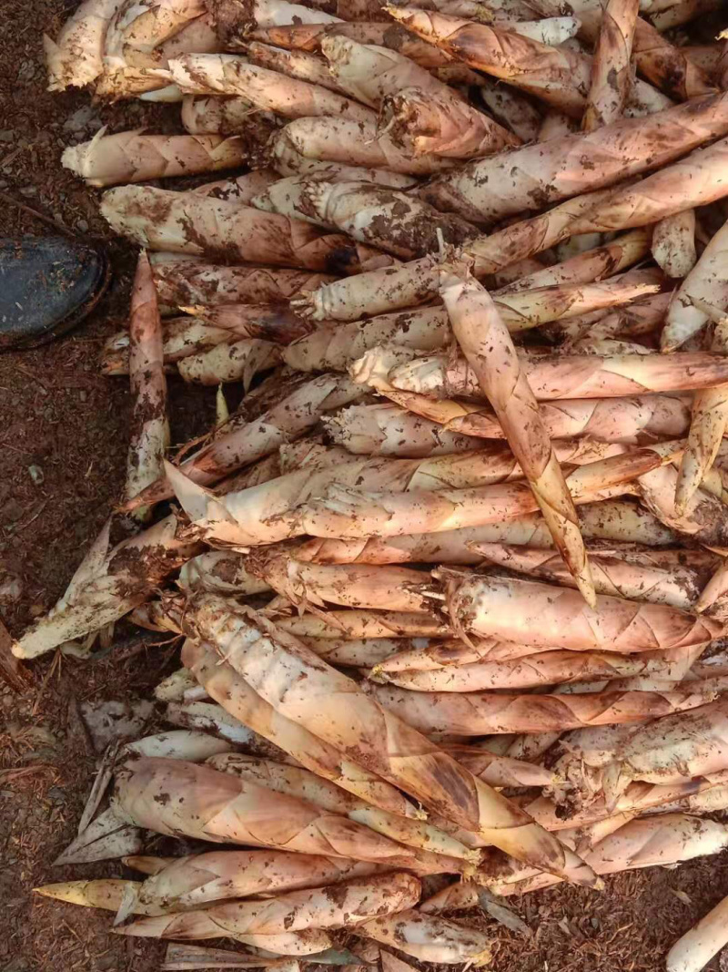 大量供应