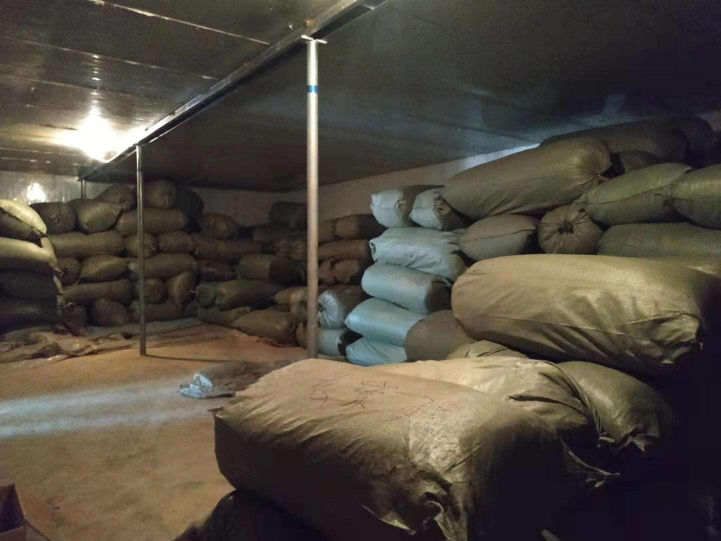 一个厨房角落场景,木质橱柜上摆放三个透明玻璃密封罐,罐中标注分别为‘新采野菊花(2024)’、‘金银花’、‘陈皮’,其中一个罐子正被一只手打开,旁边配有干燥剂包和温湿度计,整体环境整洁、光线柔和,体现科学储存理念 家庭储存野菊花示意图