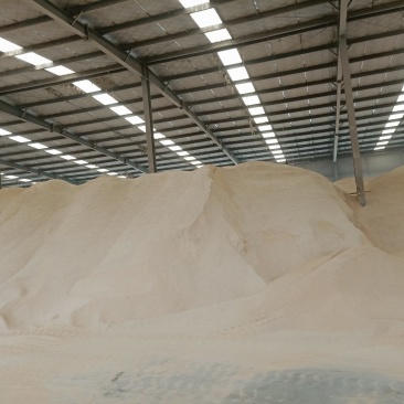 大量出售稻壳粉