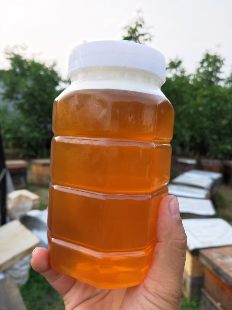蜂巢蜜，蜂蜜，你买是诚信，我卖的是健康。