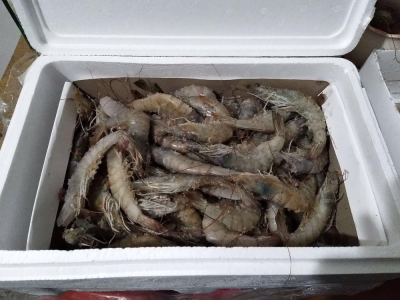 一件代发整箱4斤海捕大虾鲜虾活冻冻虾海鲜