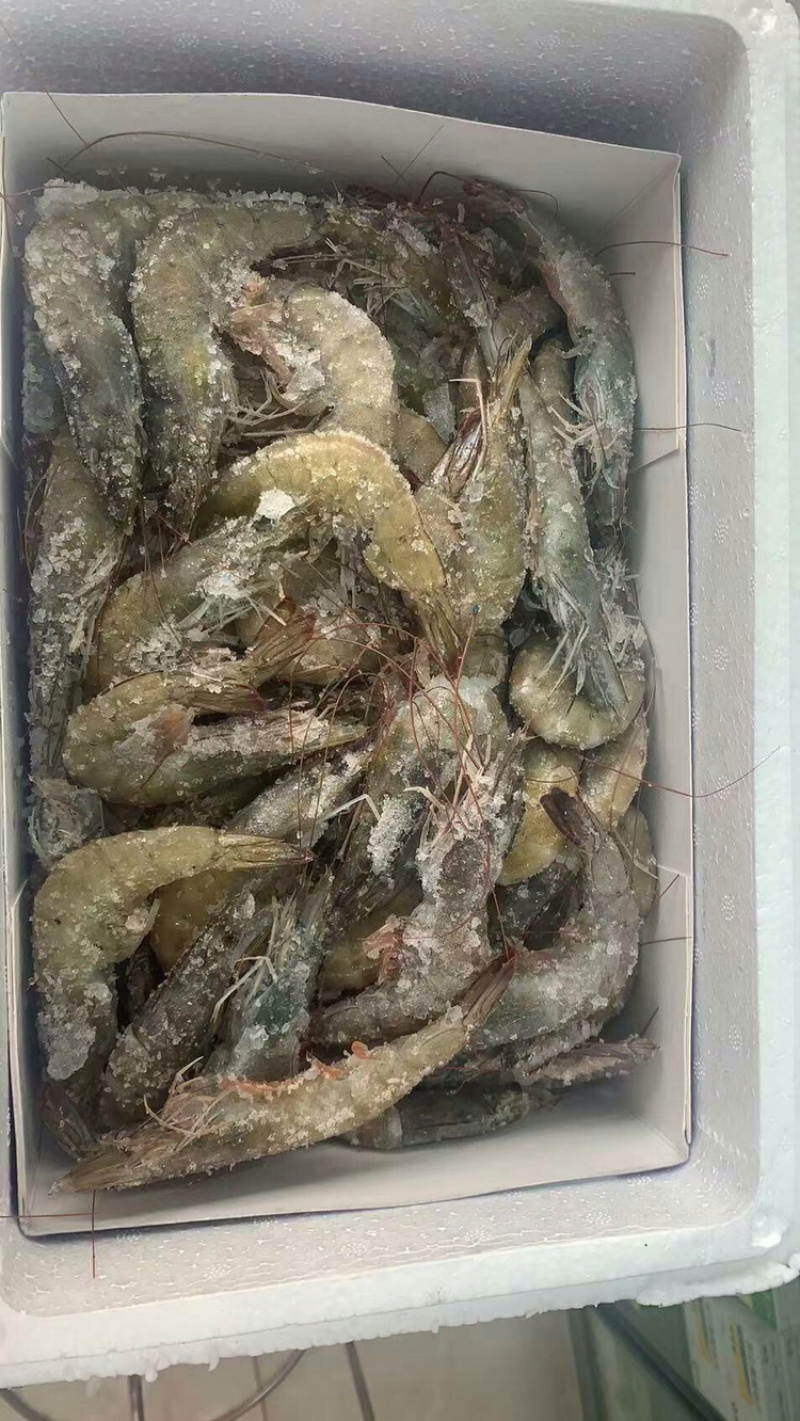一件代发整箱4斤海捕大虾鲜虾活冻冻虾海鲜