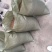 冬藏处理好的—纯手工八棱海棠种子，保出芽率95%以上。