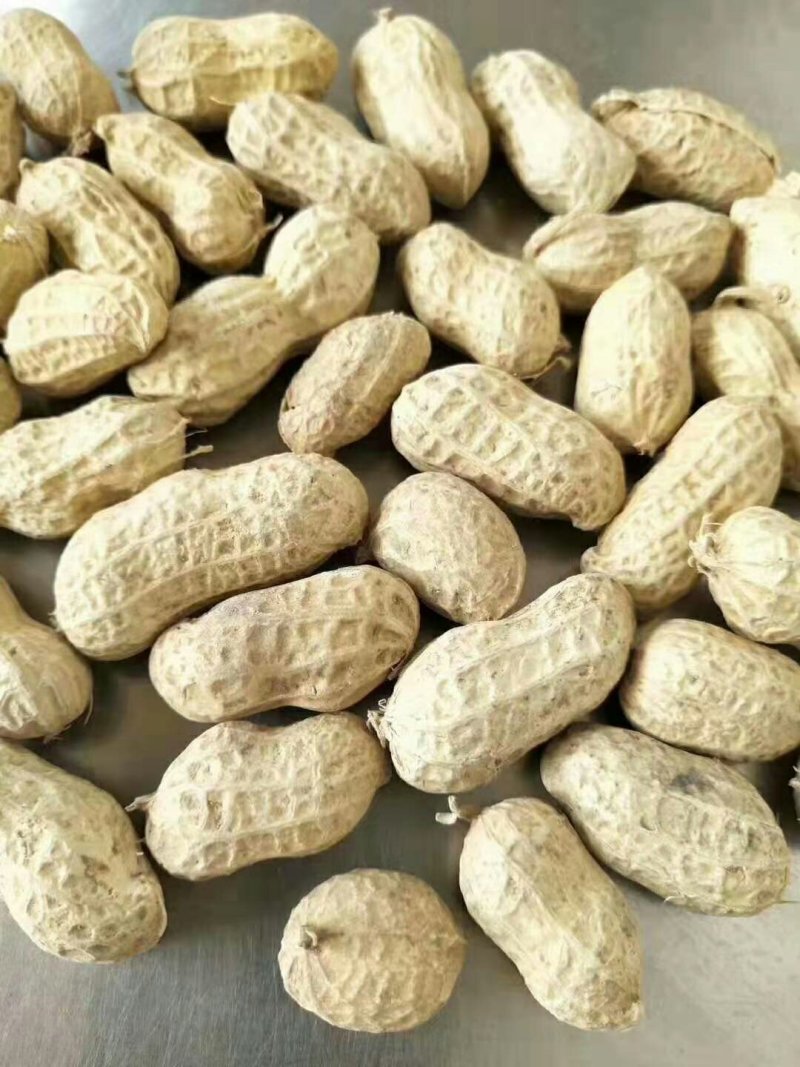 花生各种各样的电商美团档口直供。，有干果。鲜货。