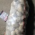 荷兰十五土豆基地大量上市颜色好个头大，三两起步，有上千亩