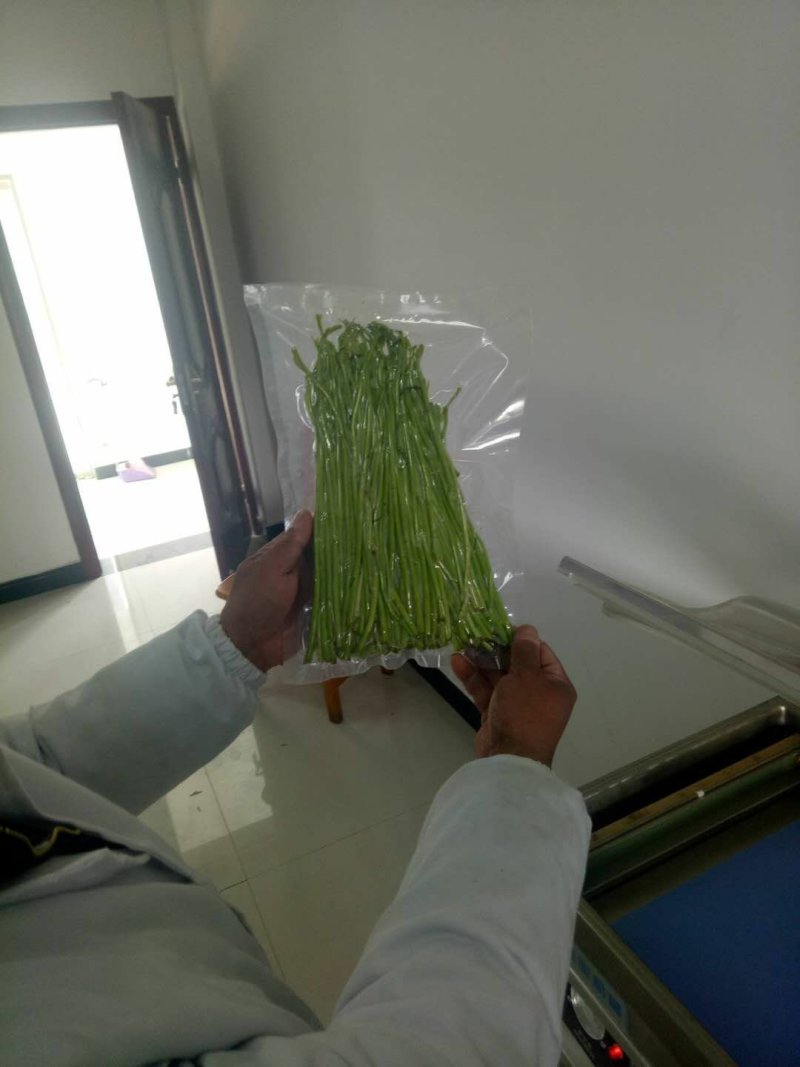芦蒿，藜蒿，又名蒌蒿、芦蒿、柳蒿、菊科蒿