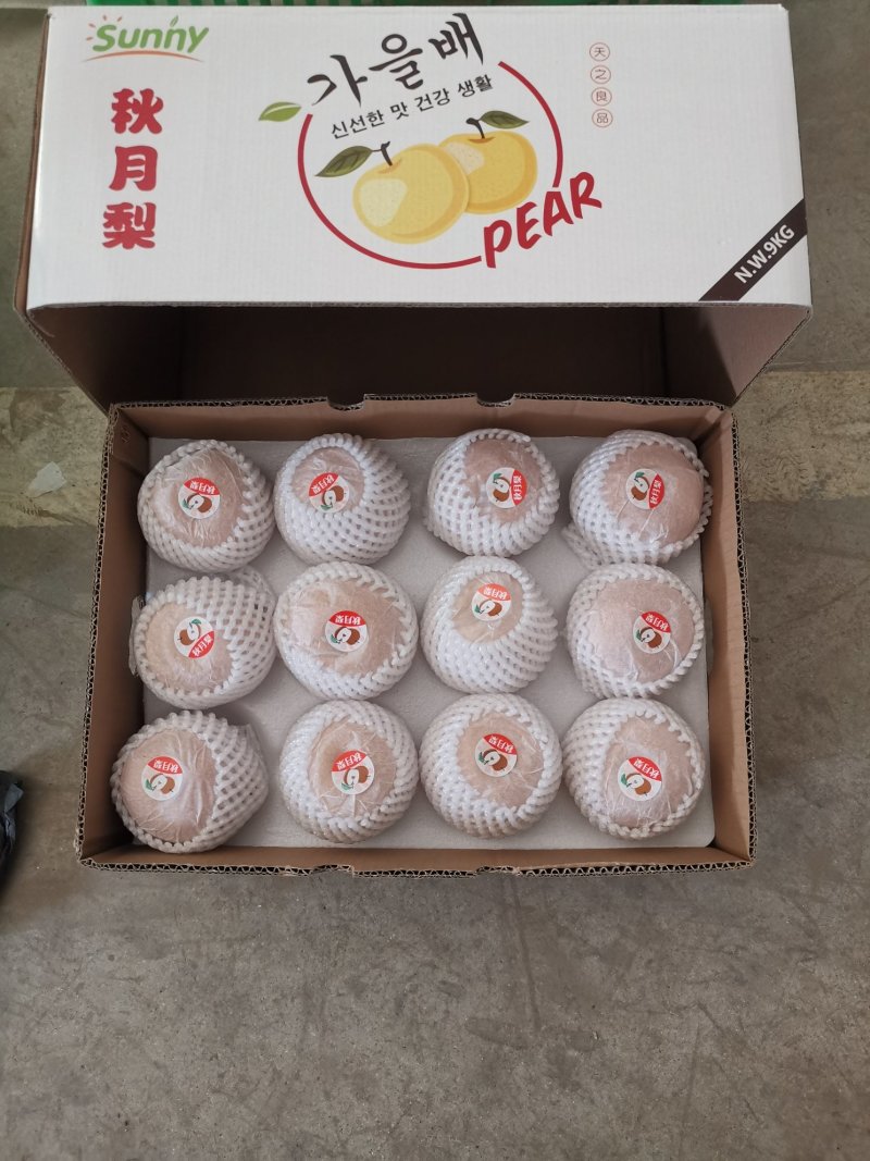 山东丰水梨产地对接各种包装丰水梨加工一件代发欢迎采购合作