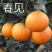 四会广元砂糖桔苗春见爱媛香源桔苗黄岩蜜橘苗南北方种植