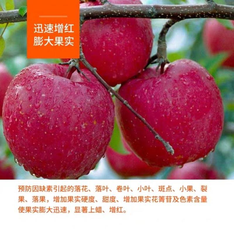 贝乐康美果佬苹果桃梨草莓果实膨大显著上蜡增红含氨基酸