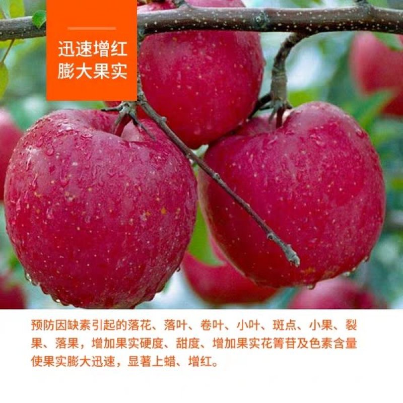 贝乐康美果先苹果桃梨草莓果实膨大显著上蜡增红含氨基酸