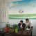 水晶紫薯苗25cm基地直供全国发货自有基地