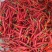 吉林白城洮南线椒干鲜辣椒