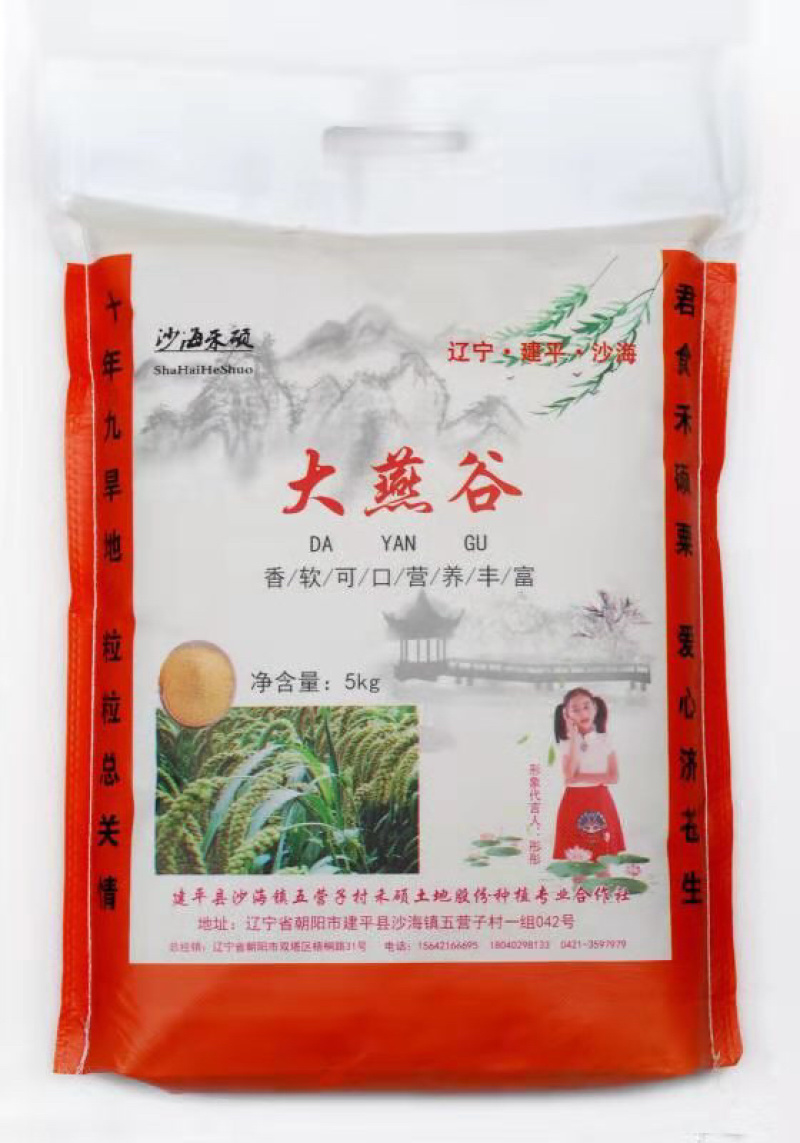 沙海硕禾大燕谷小米