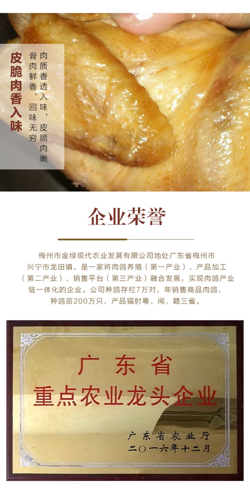 陈小鸽盐焗乳鸽