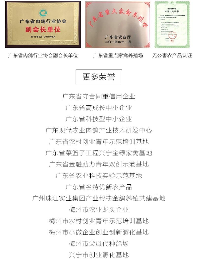 陈小鸽盐焗乳鸽