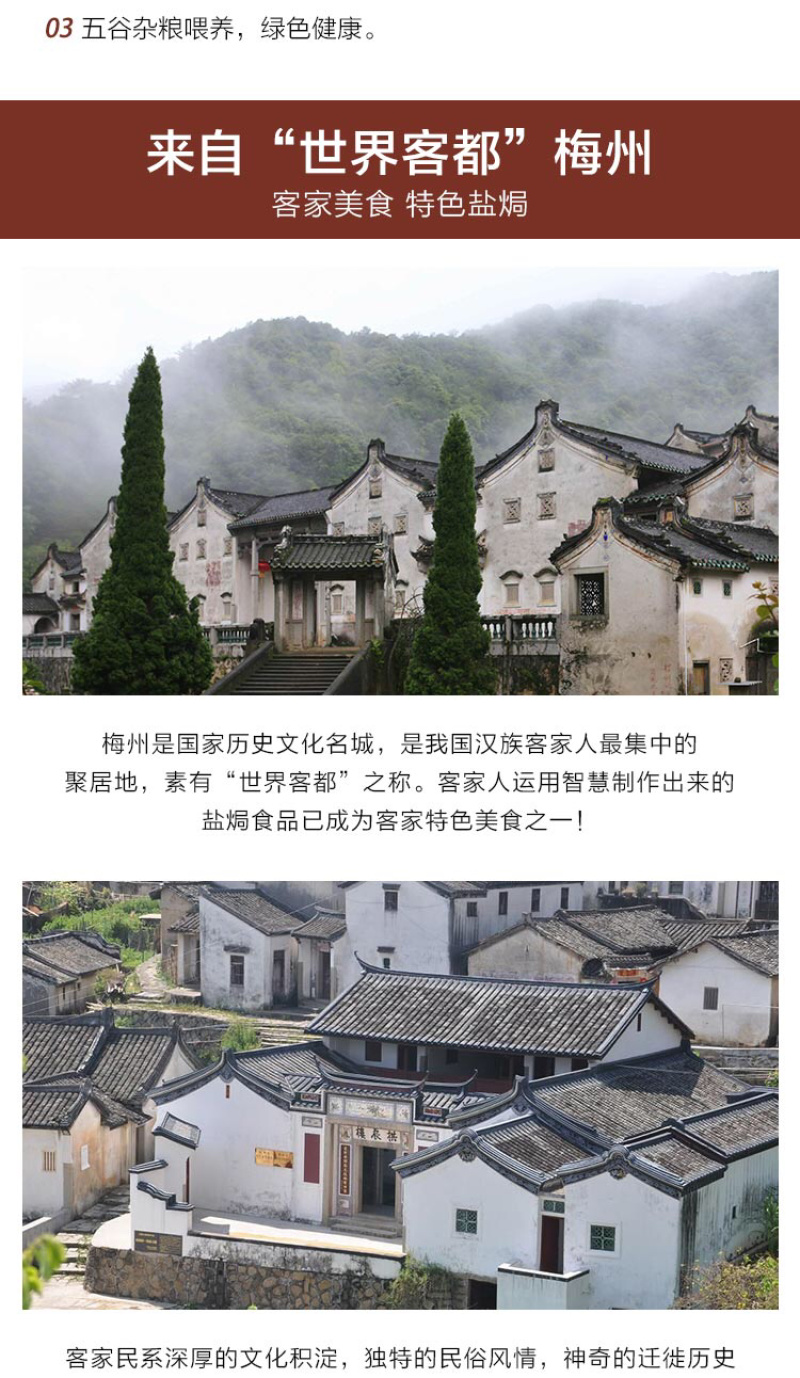 陈小鸽盐焗乳鸽