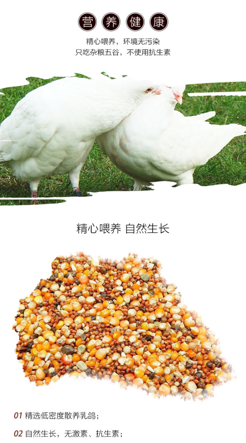 陈小鸽盐焗乳鸽