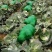 精品扁包菜包菜甘蓝新货大量上市价格美丽基地直发