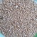 豆粕