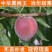 桃树苗嫁接黑桃树苗当年结果苗早熟嫁接桃苗特大水蜜桃蟠桃树