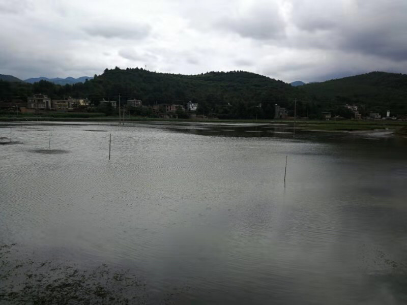 178亩龙虾基地转让，看上联系