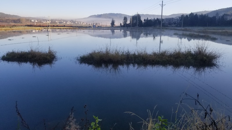 178亩龙虾基地转让，看上联系