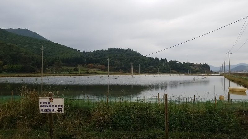 178亩龙虾基地转让，看上联系