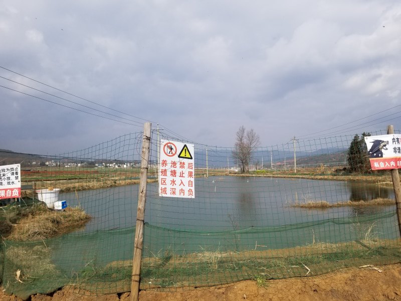 178亩龙虾基地转让，看上联系