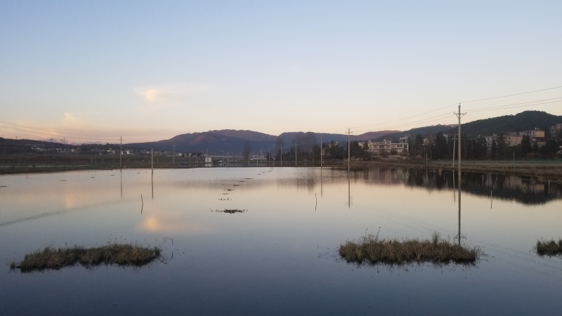 178亩龙虾基地转让，看上联系