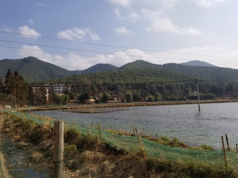 178亩龙虾基地转让，看上联系