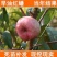 油蟠桃苗桃树苗嫁接特大早熟果树苗南北方种植地栽苗当年结果