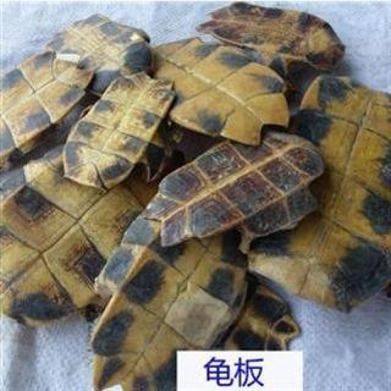 龟板，常年批发供应中药材，龟板，量大从优
