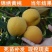 嫁接桃树苗黄金桃水蜜桃苗地栽黄桃树苖冬桃苗南北方种植果树