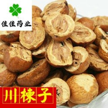 川楝子无硫大统货新货干度好供应各种中药材