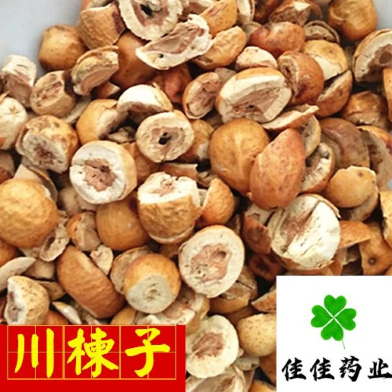 川楝子无硫大统货新货干度好供应各种中药材