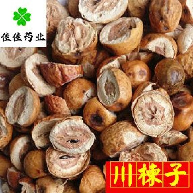 川楝子无硫大统货新货干度好供应各种中药材