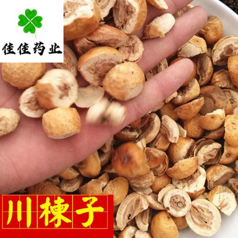 川楝子无硫大统货新货干度好供应各种中药材