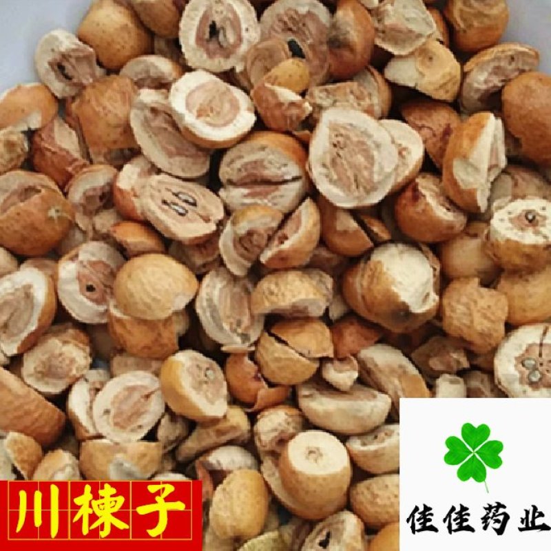 川楝子无硫大统货新货干度好供应各种中药材