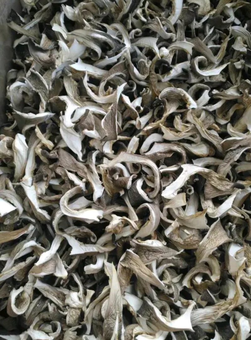 干平菇，当年新货，无陈货掺杂，欢迎实地考察