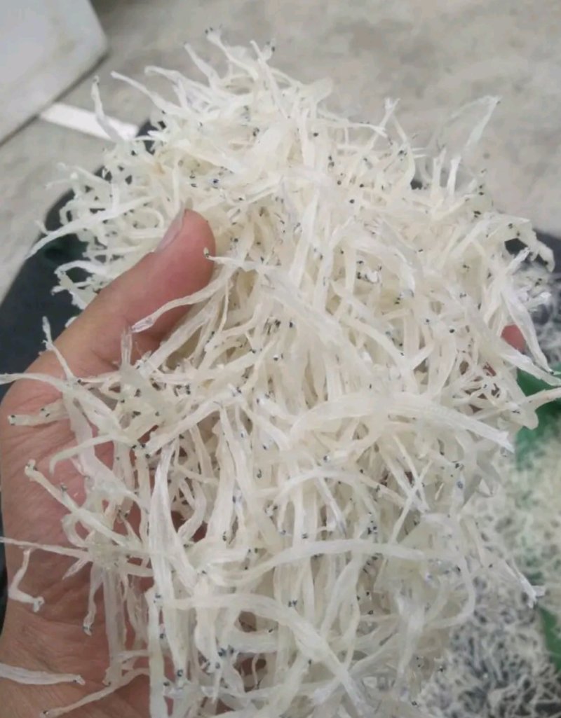 银鱼