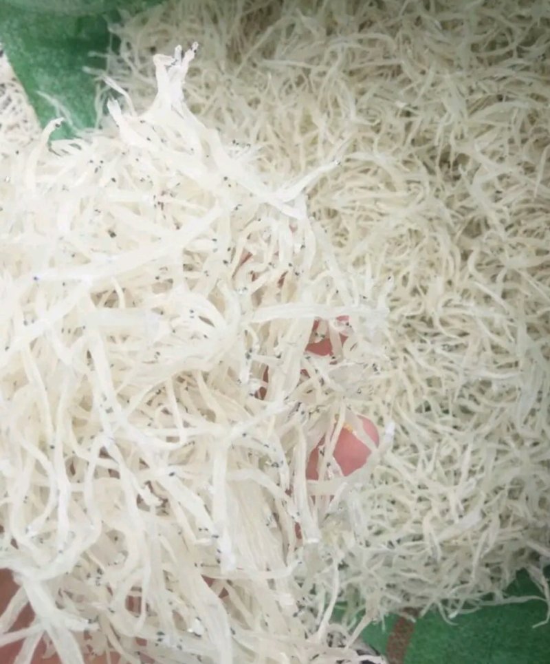 银鱼
